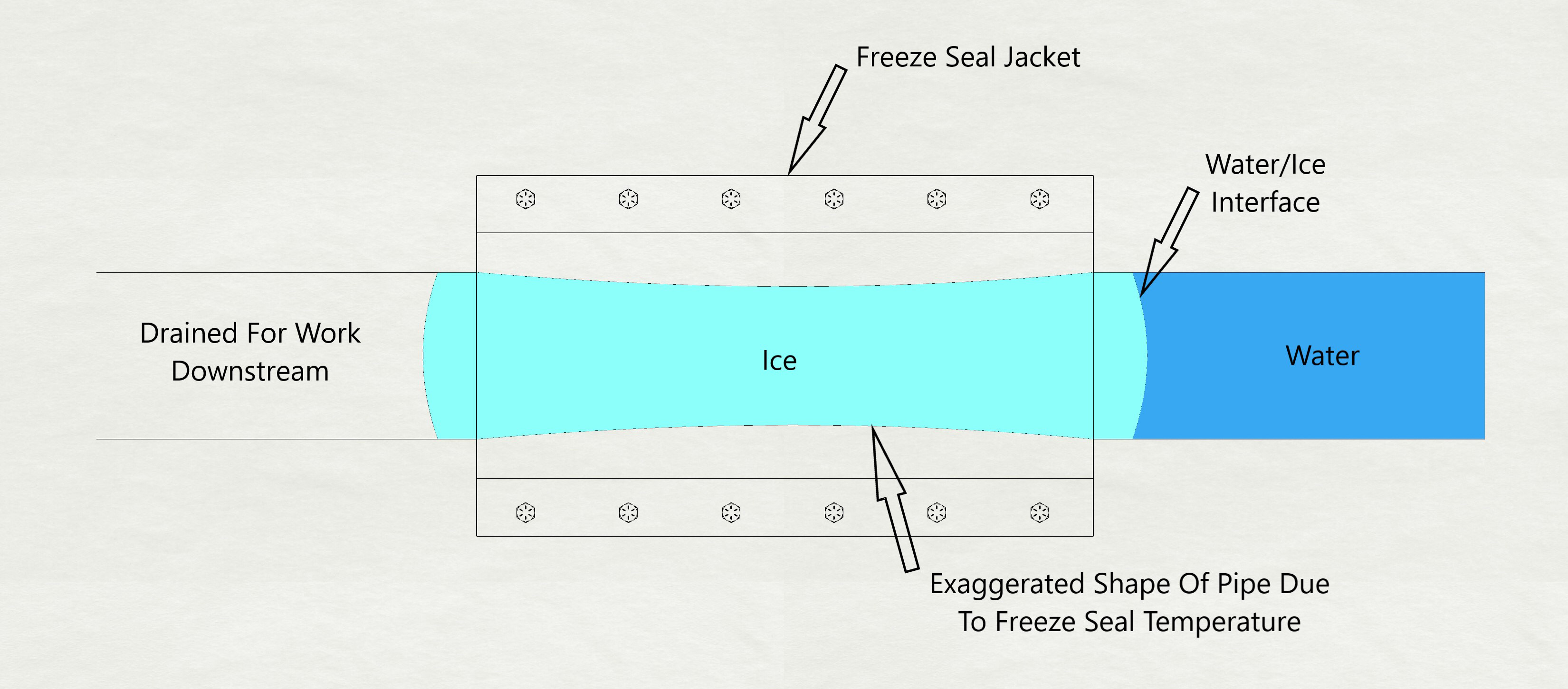 Frozen Water Seals